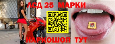 ALPHA PVP Коммунар