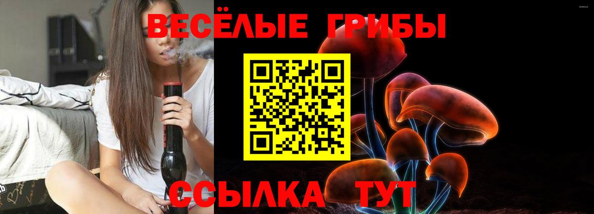 Псилоцибиновые грибы Psilocybine cubensis  Вход с VPN  Верхний Уфалей 